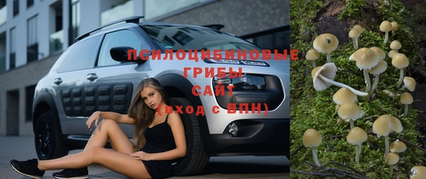 бутират Богданович