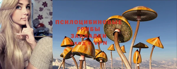 бутират Богданович