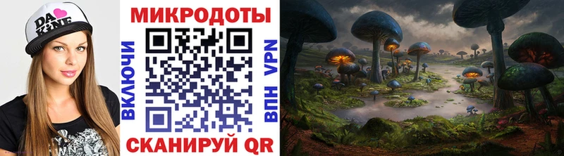 MEGA маркетплейс  Онега  Галлюциногенные грибы мицелий 